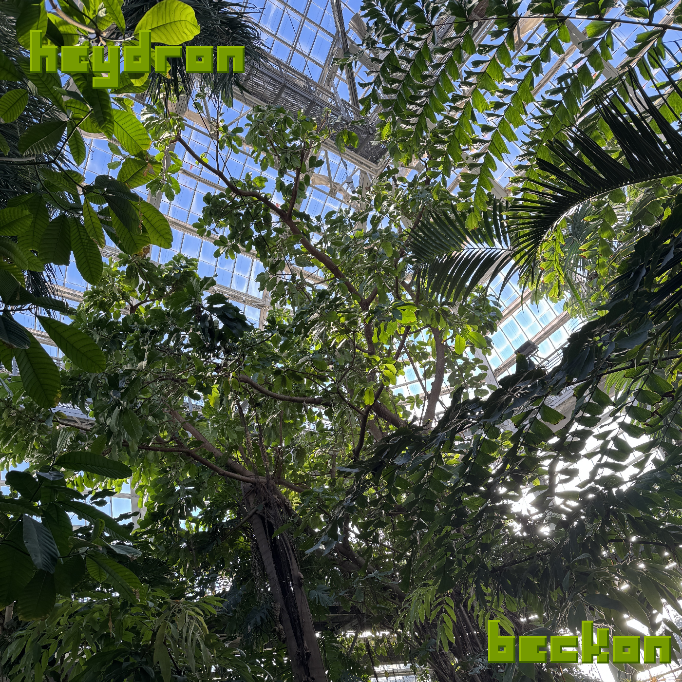 https://heydron.bandcamp.com/track/beckon